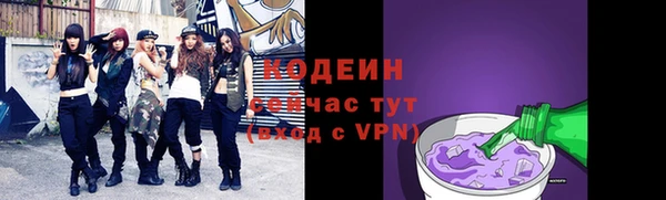 дмт Осинники