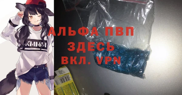 гашик Арсеньев