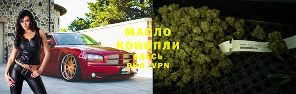 гашик Арсеньев