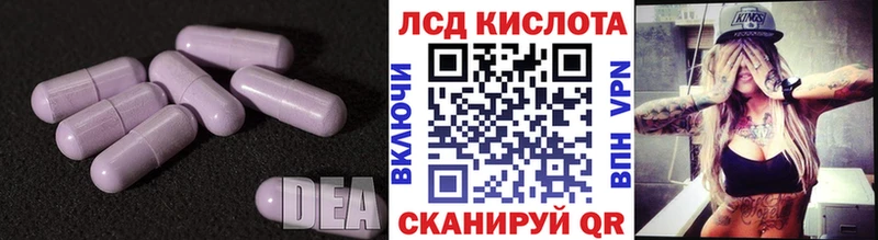 блэк спрут сайт Спасск-Дальний Лсд 25 экстази кислота