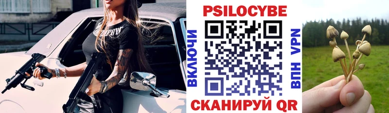 Галлюциногенные грибы мухоморы  наркотики  Спасск-Дальний 